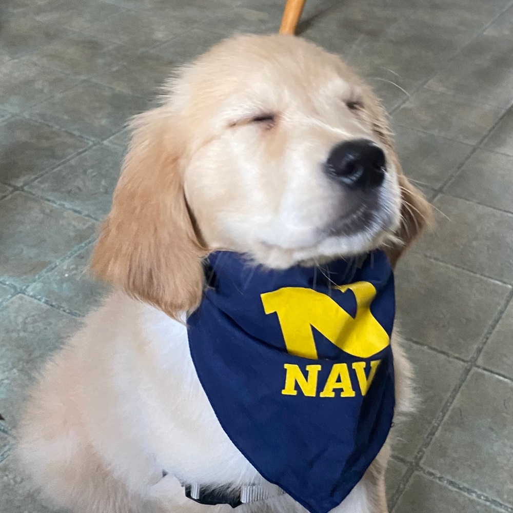 Meet your Posher, Carolyn